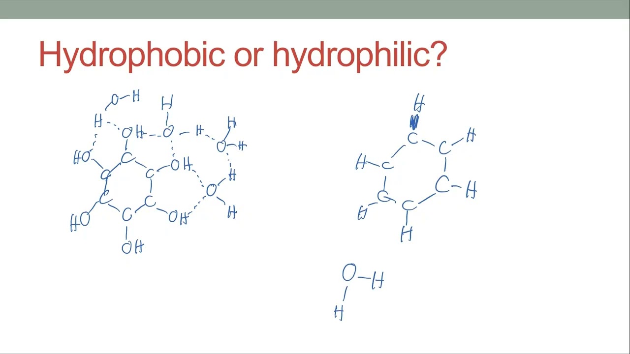 Essential Chemistry for Biology Students (part 2)