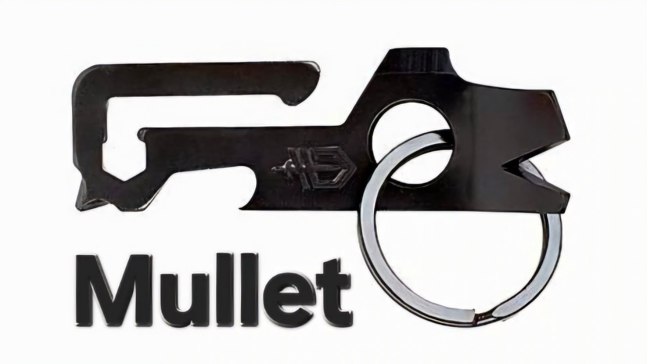Gerber Mullet REVIEW (vs Niteize Doohickey)
