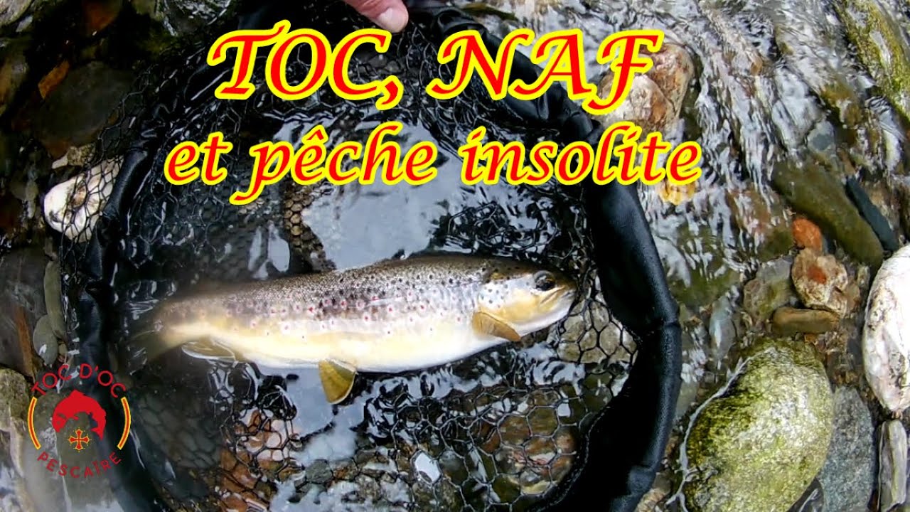 Toc, Naf et pêche insolite