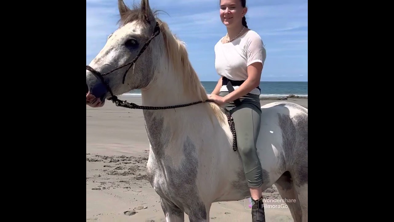 Bareback horseride on the beach