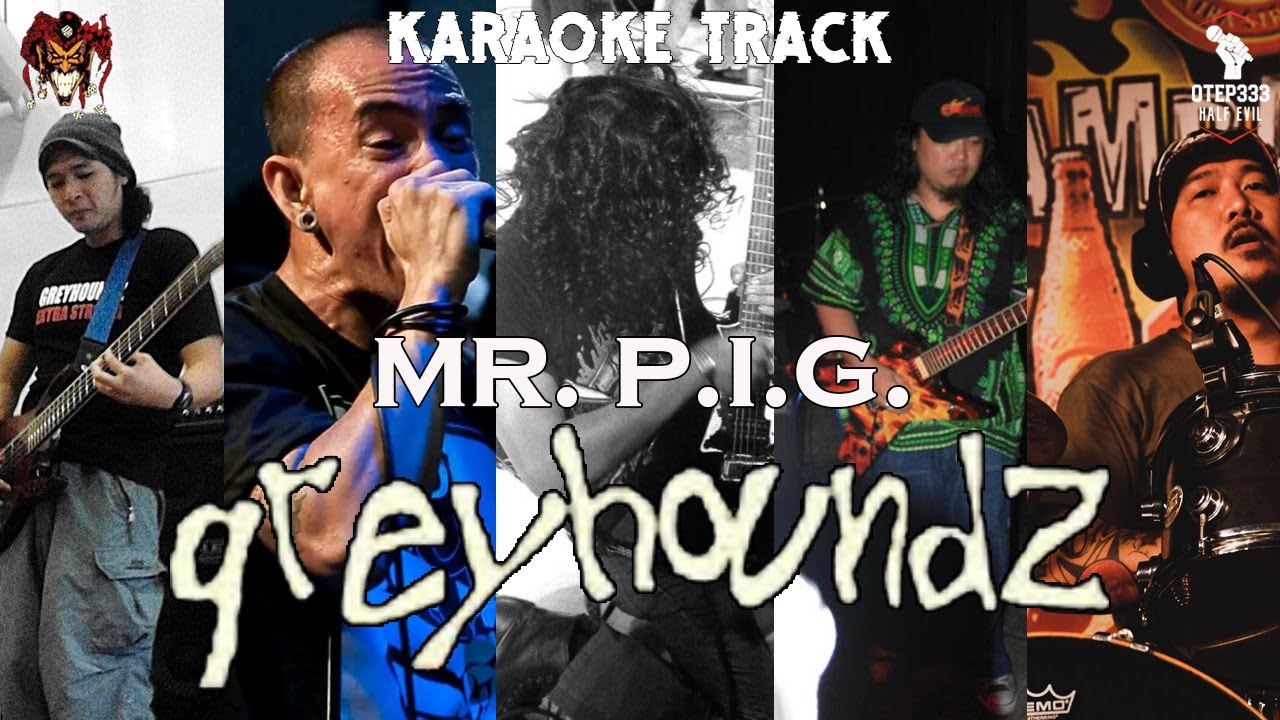 Greyhoundz | Mr. P.I.G. (HQ Karaoke)