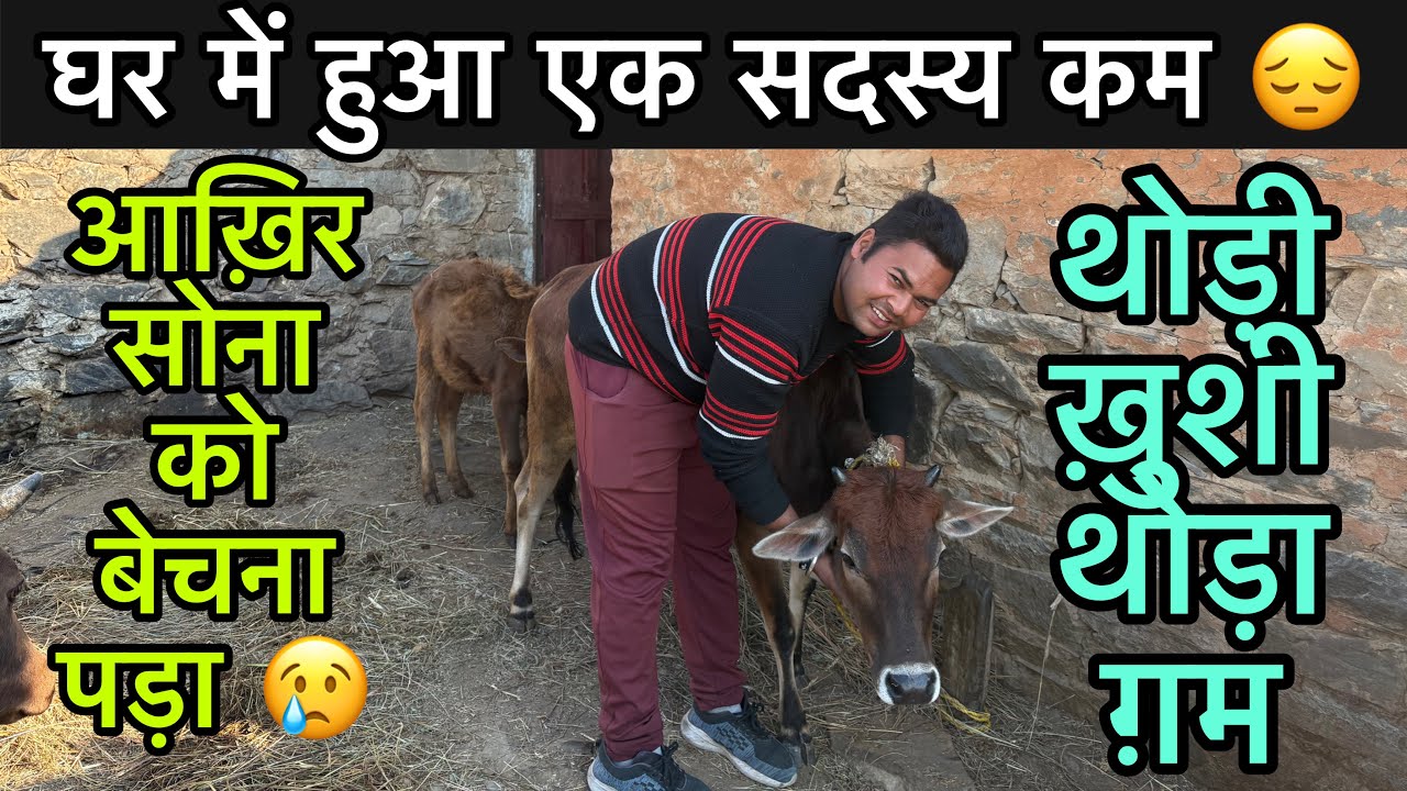 सोचा नहीं था कभी ऐसा करना पड़ेगा 😔ll आज 3 साल बाद करना पड़ा ख़ुद से दूर 😢ll 