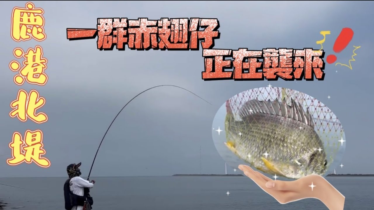 鹿港北堤斜坡.平台近期赤翅仔,黑鯛都有靠!!各位釣友趕快來釣唷,夏季釣魚記得多補充水分!!