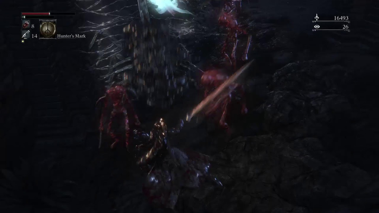 Moon joined the hunt