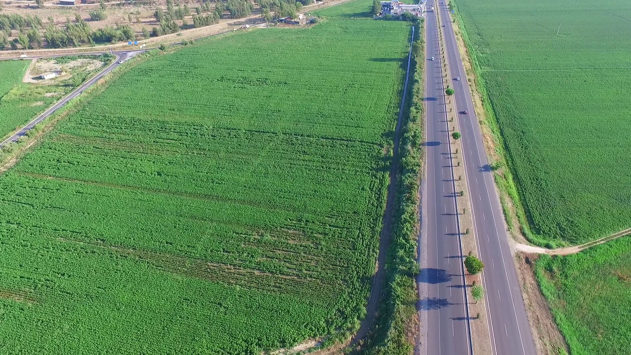 Satılık Arazi (Aydın-Muğla yolu)