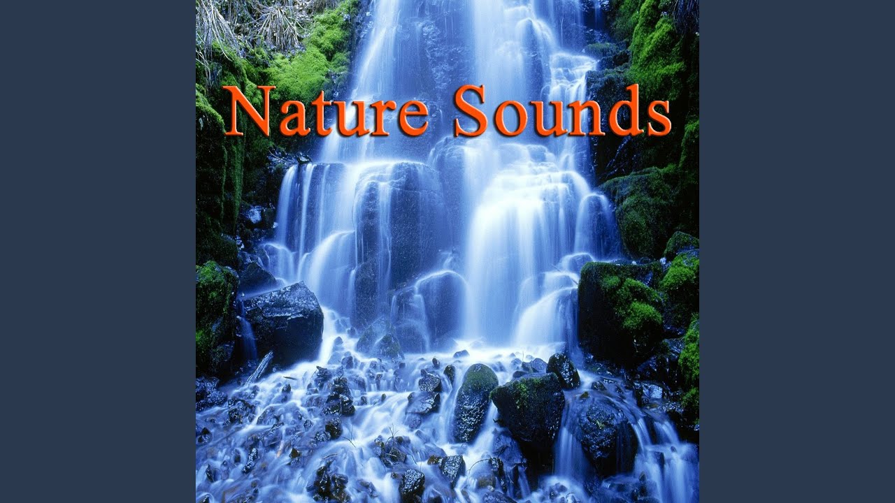 Whale Sounds