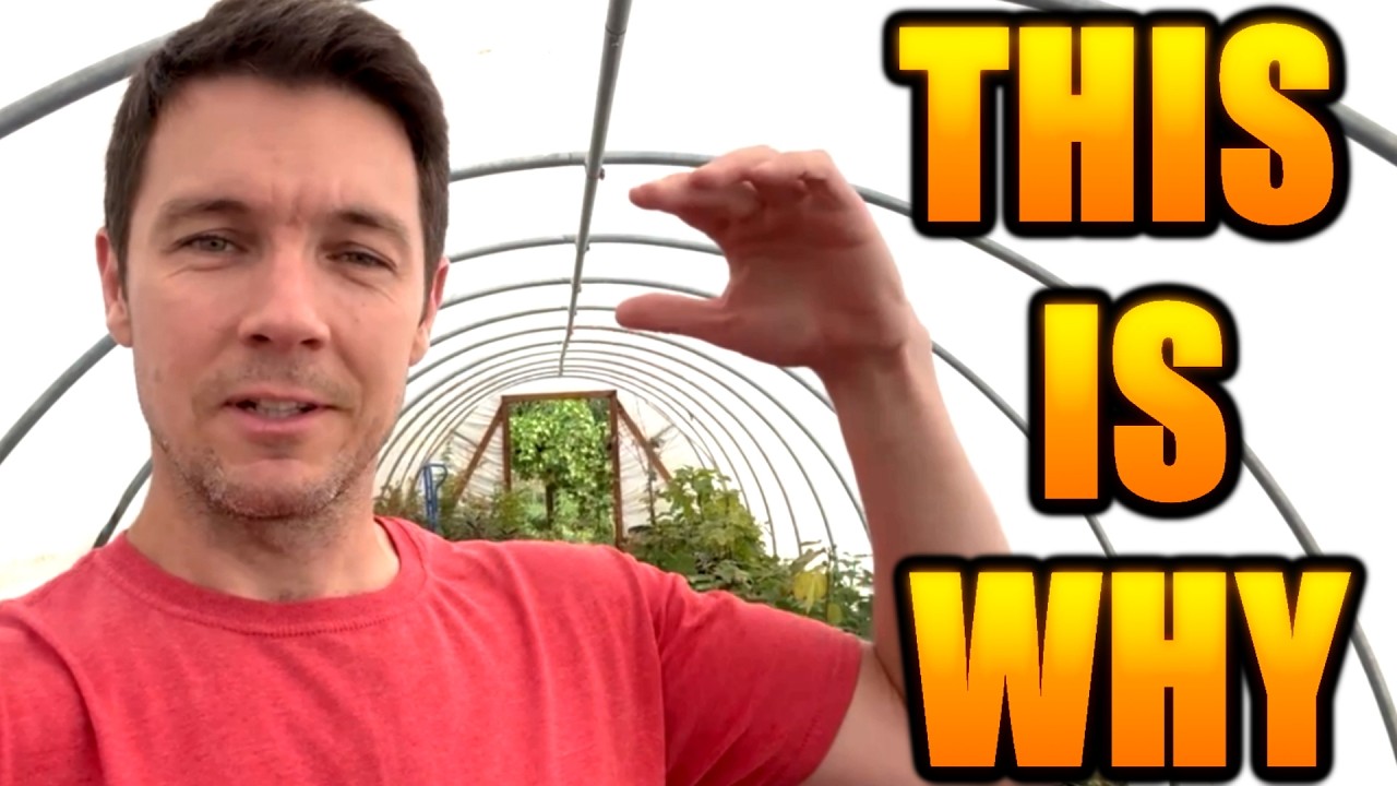 The real Reason I'm Suddenly Growing Fig Trees Indoors