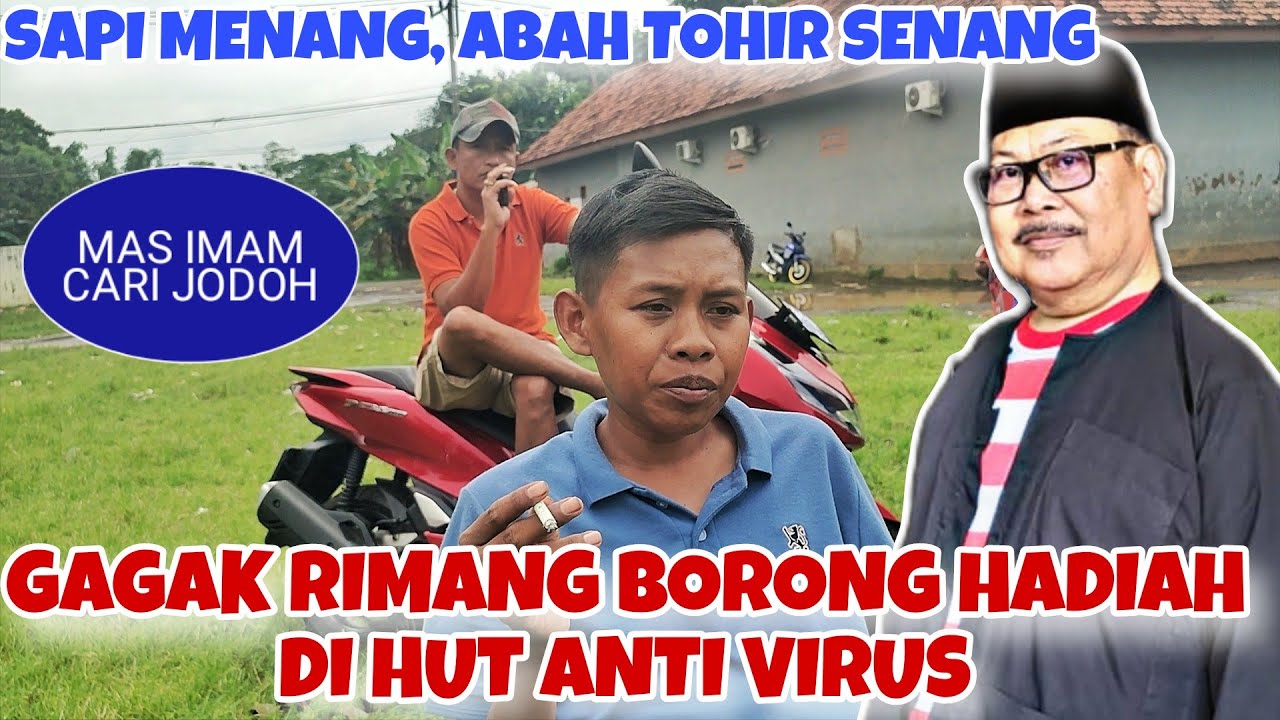 GAGAK RIMANG MASUK 7 PASANG DI HUT ANTI VIRUS || 9 EKOR SAPI EKS. JAWA, ADA INFO HUT GAGAK RIMANG 🔥🔥