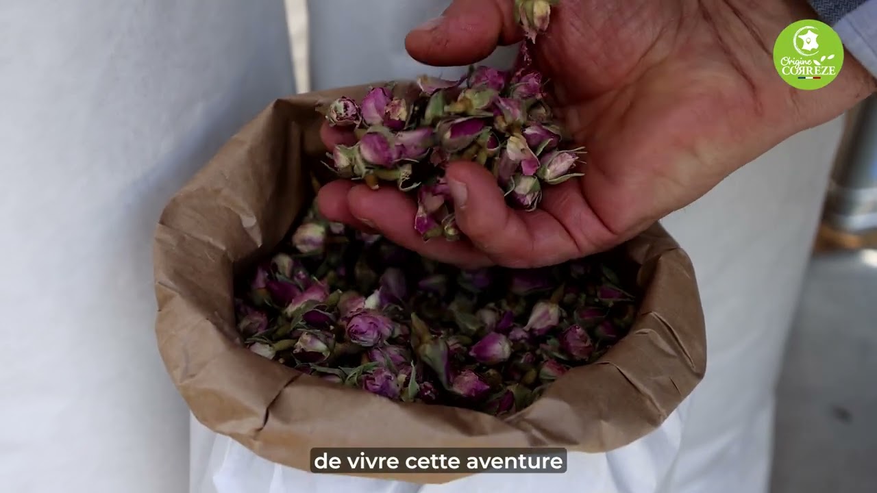 Comptoir d'Herboristerie