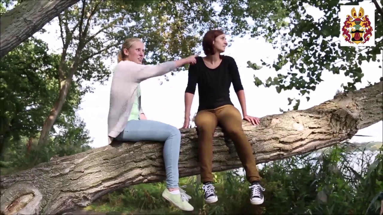 Ferienzimmer auf Ihrem Campingpark Sanssouci