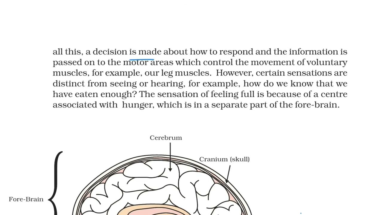 Control and Coordination | Class 10 | Line by Line NCERT Biology | Board Exam