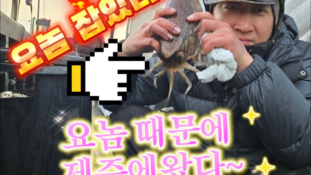 까망호 #제주낚시 #심해갑오징어 #갑오징어 