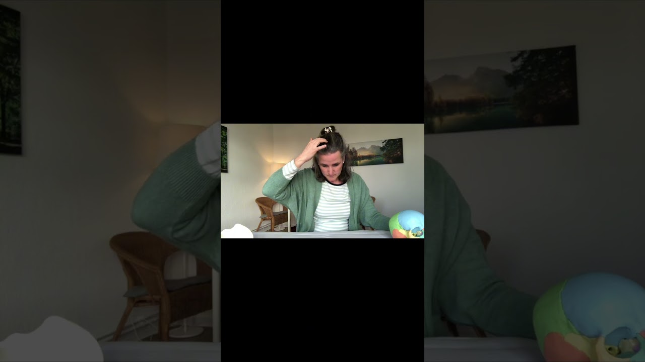 Der Craniosacrale Rhythmus