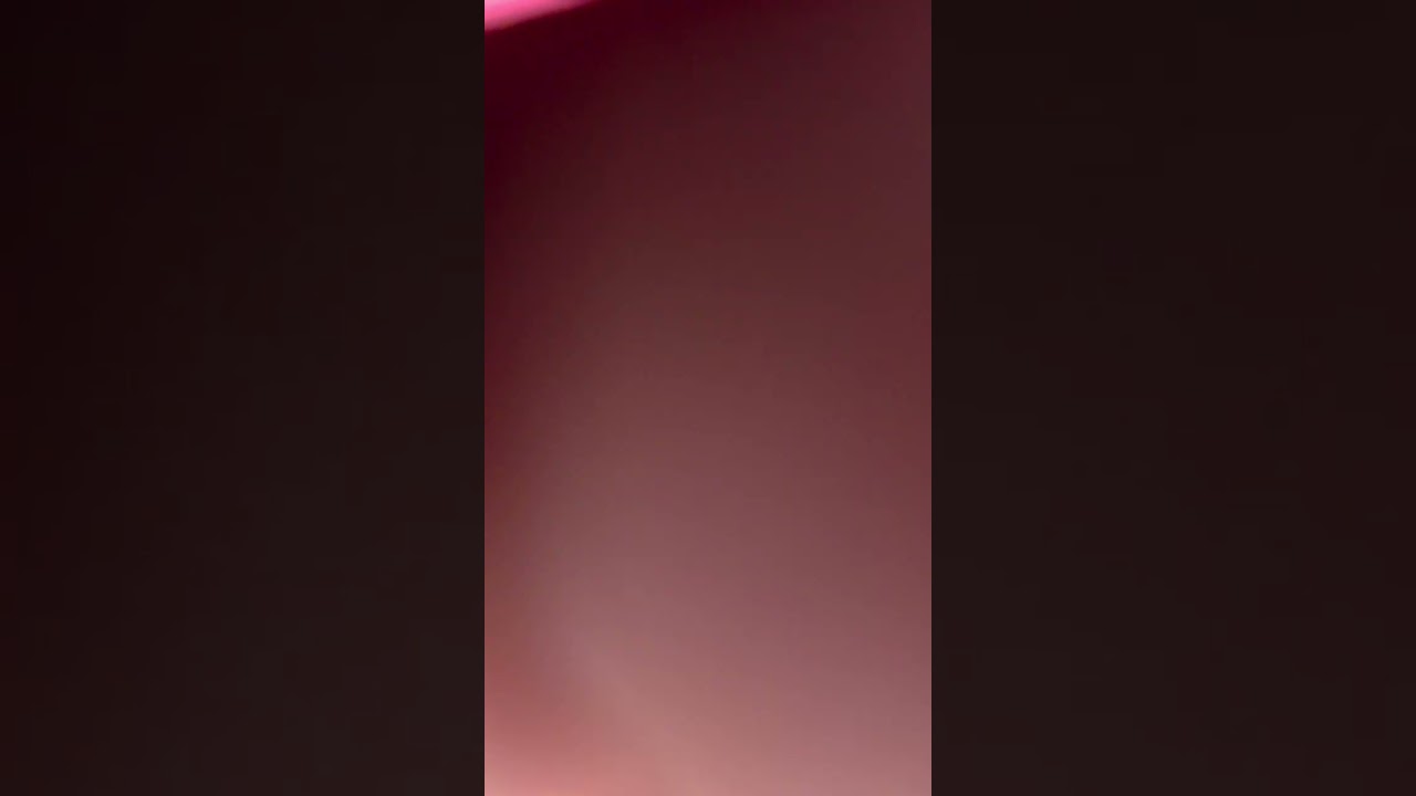 ١٩ فبراير ٢٠٢٦