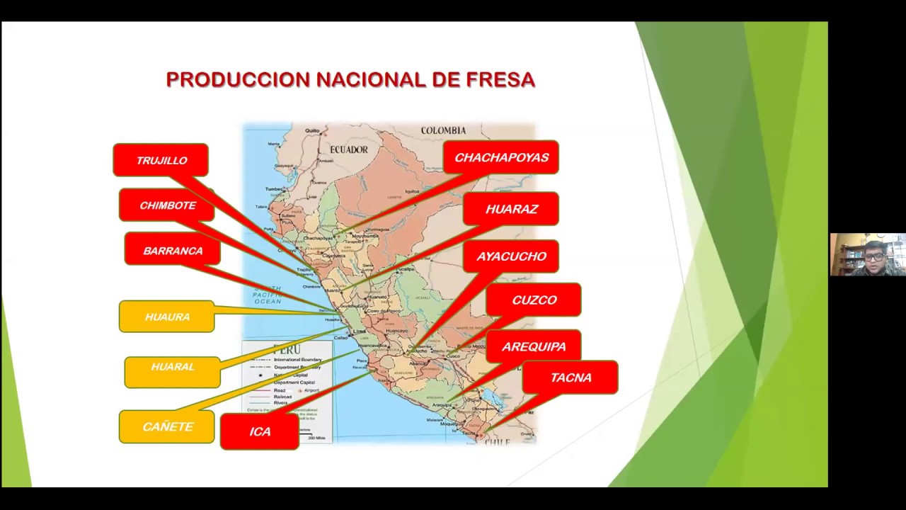 Manejo Agronómico del Cultivo de Fresa