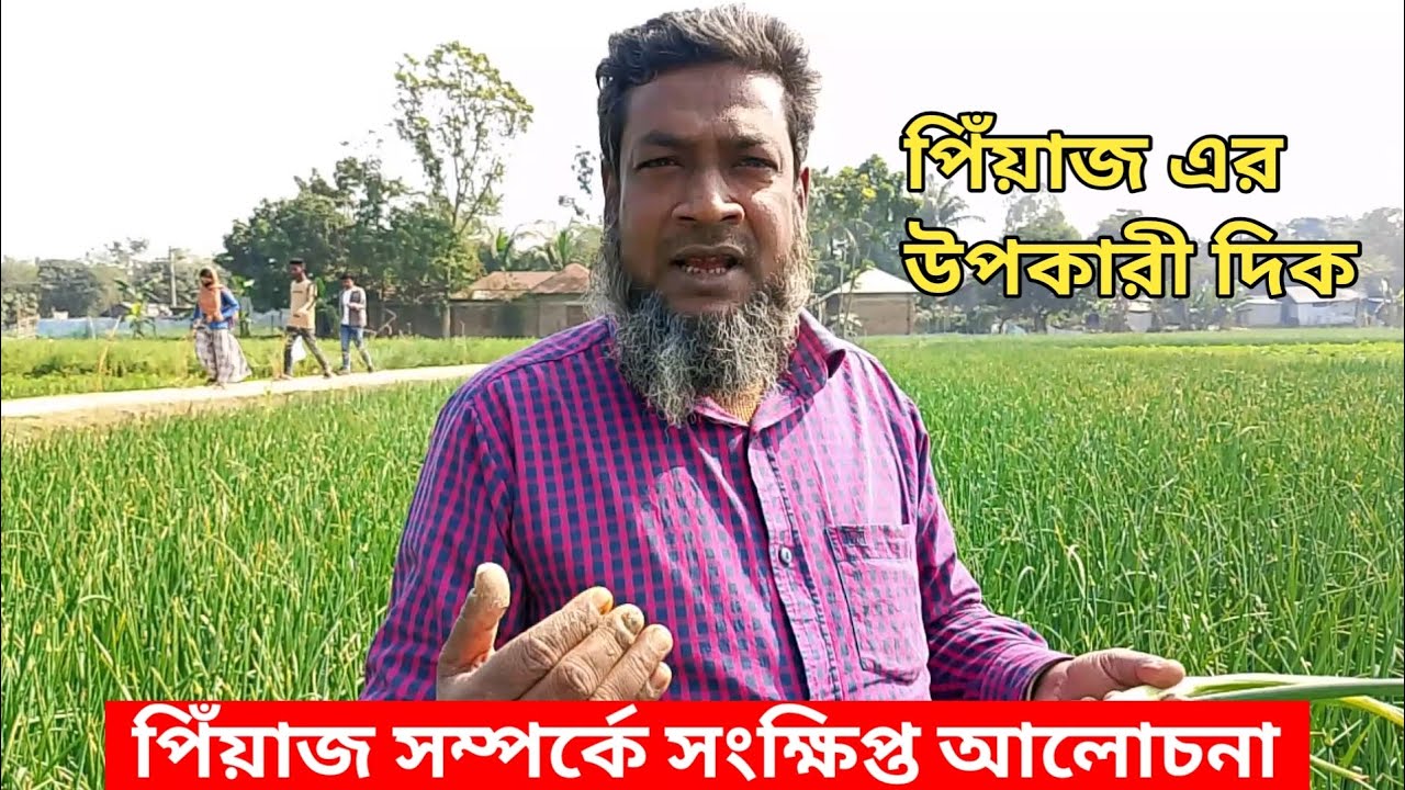 জ্বর থেকে মুক্তিতে পিঁয়াজ  এর ব্যবহার || পিঁয়াজ এর উৎপত্তি সহ সকল কিছু এক ভিডিও তে || নতুন ভিডিও২০২৬