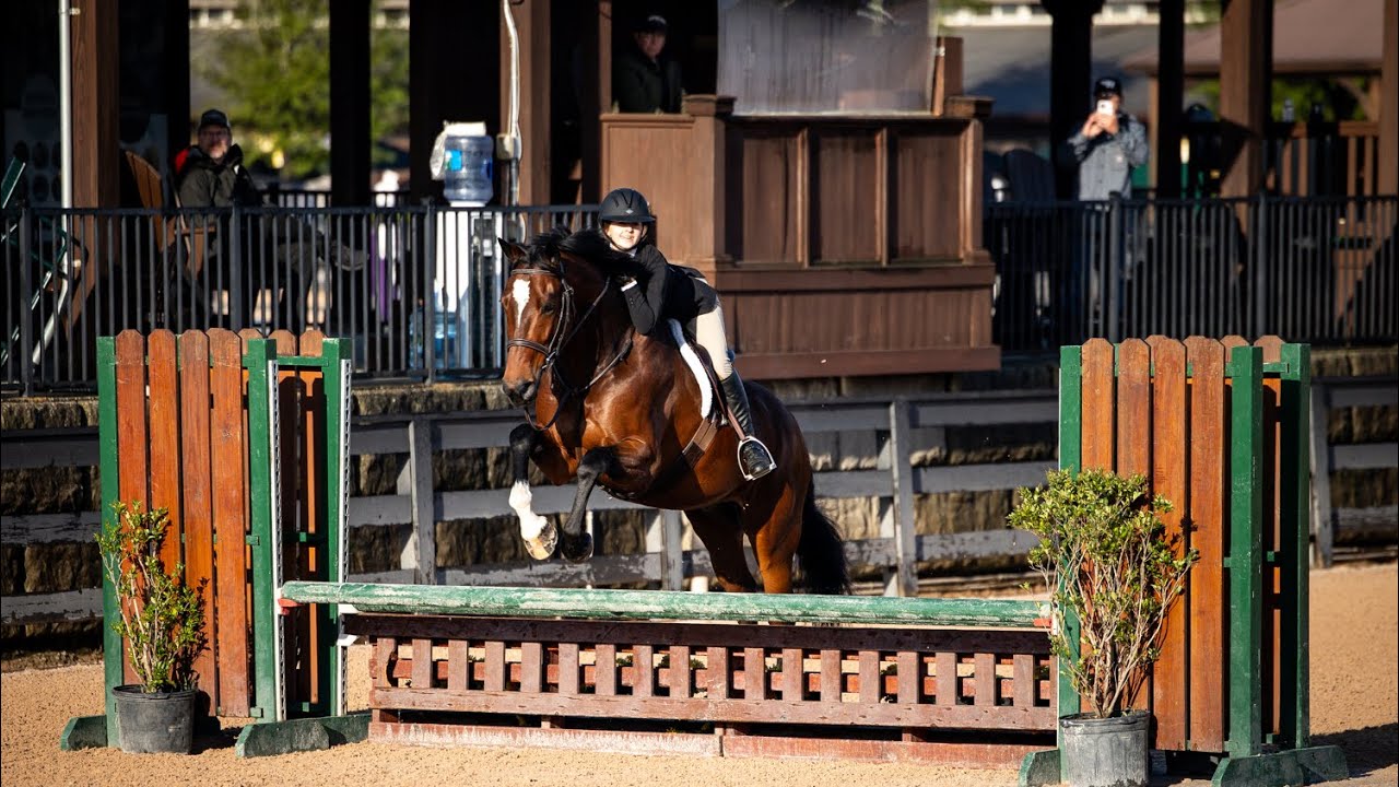 First show with my new horse!