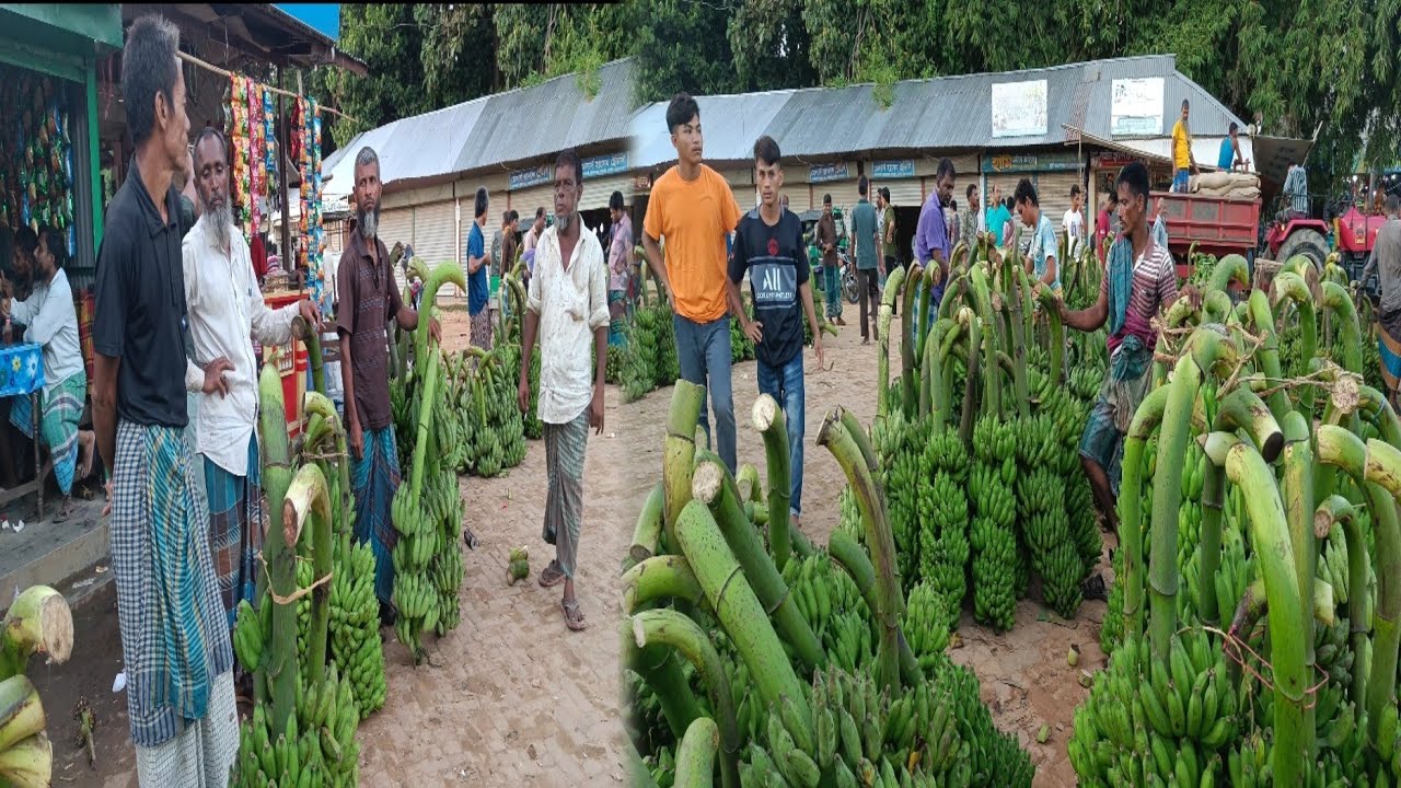 বিখ্যাত কলার হাট খাগড়াছড়ির গুইমারা বাজার।