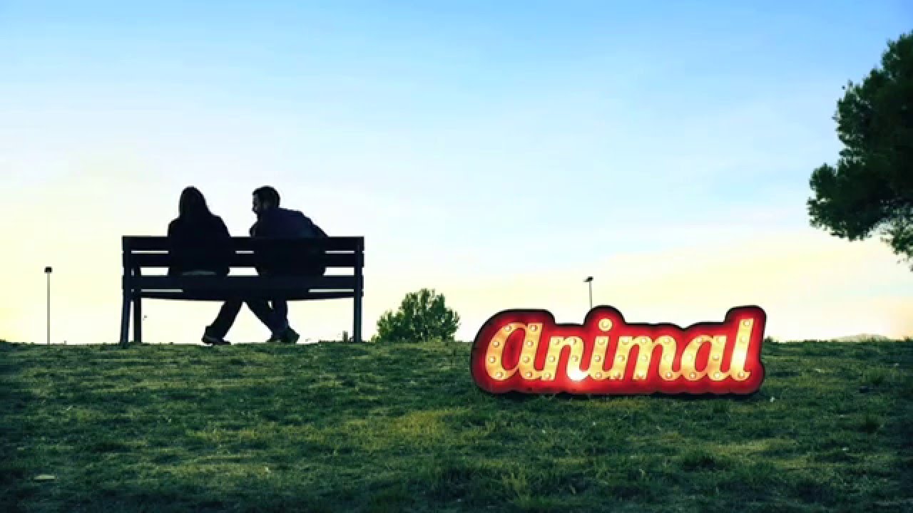 Animal - Fets a mida
