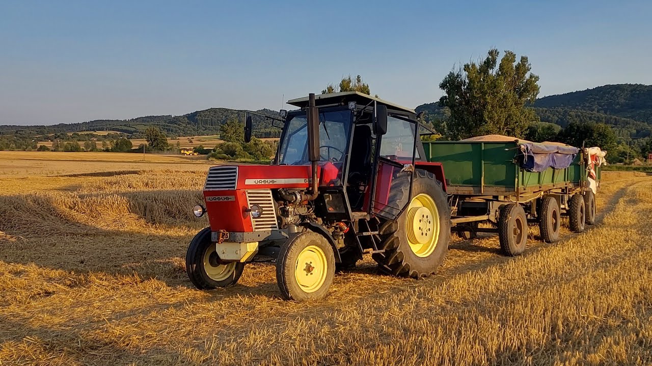 Wiejski Transport Królewski, oraz C385 Turbo w odwozie - Żniwa 2024 w GR Worosz
