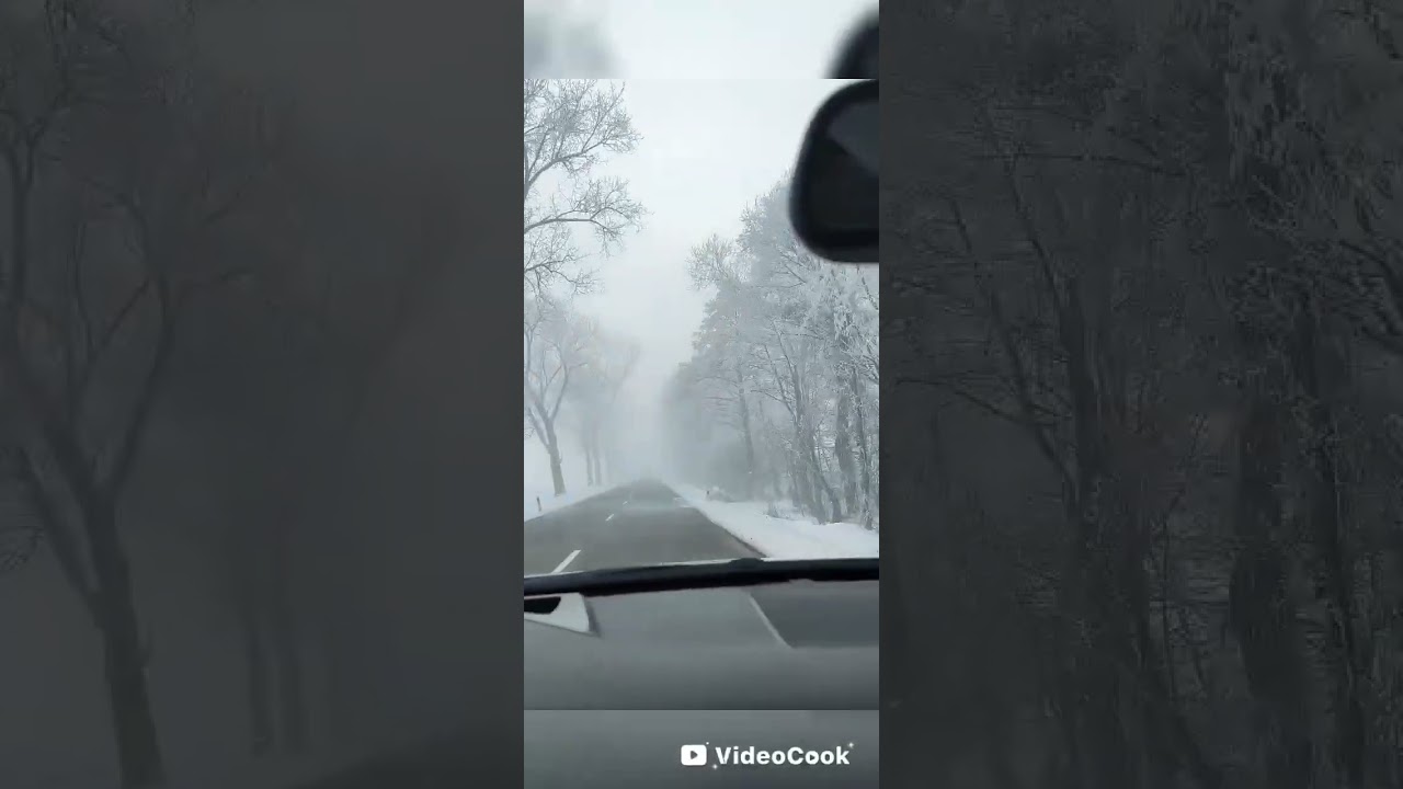 #бібліядлядітей #вигнаннязраю#длядітей#библия 