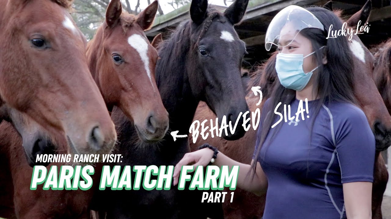 ISA SA PINAKAMATAGAL NA HORSE FARM SA BATANGAS  - PARIS MATCH FARM pt1 | #LuckyLeaVlog No. 30