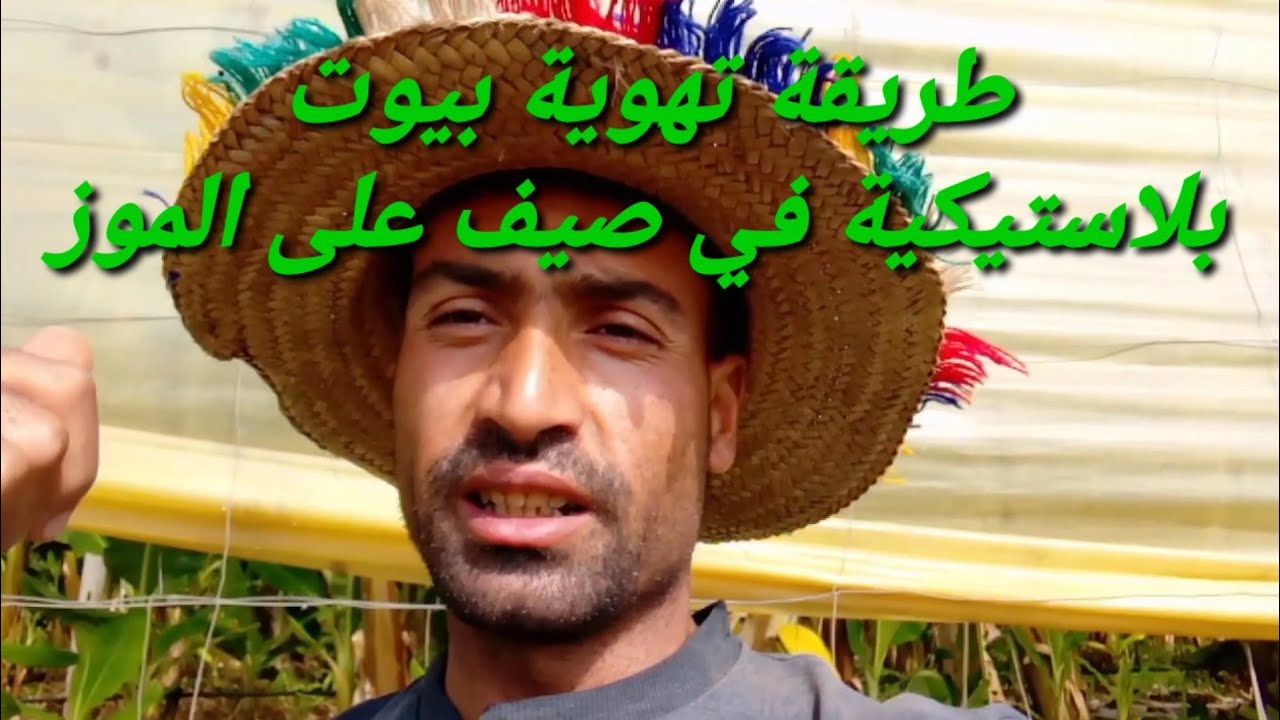 طريقة تهوية بيوت بلاستيكية في صيف على الموز