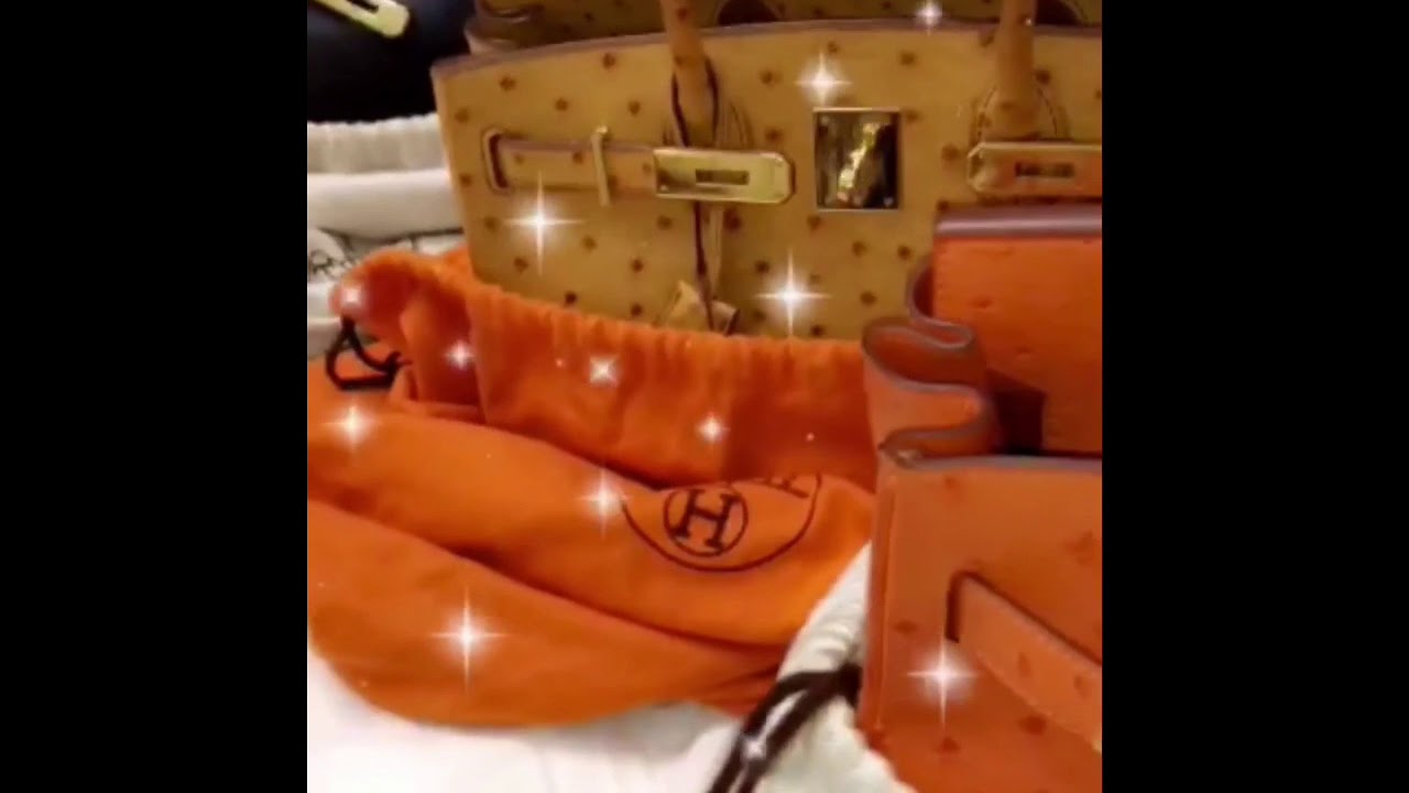 Coco Émilia (biscuit De Mer) Nous Présente Ses Sacs Chanel Et Hermès