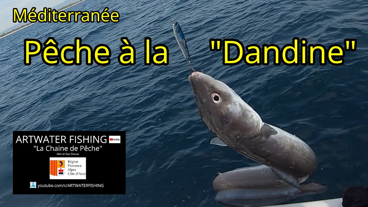Pêche en Méditerranée 