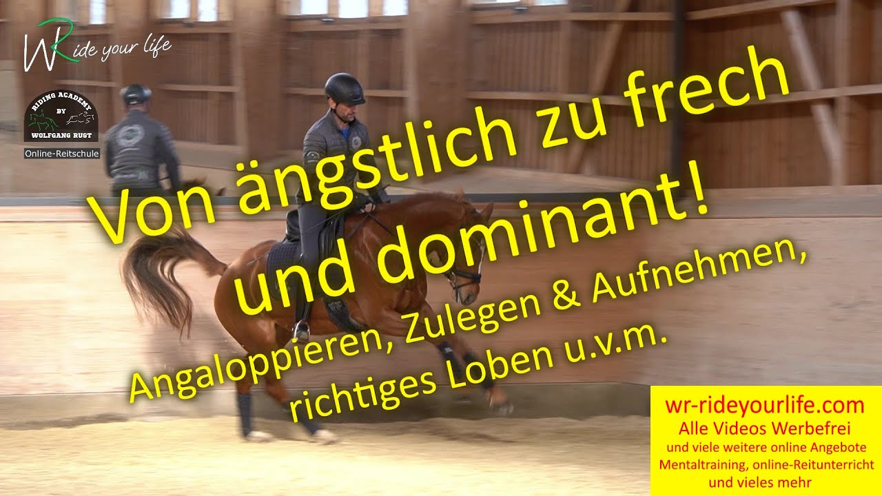 F178 Das ängstliche Pferd wird dominanter/mutiger! Reiterhilfen im Trab bis hin zum korrekten Galopp