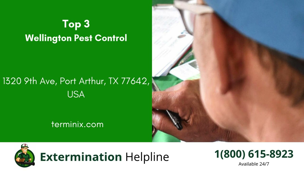 Top 3 Exterminators in Port Arthur