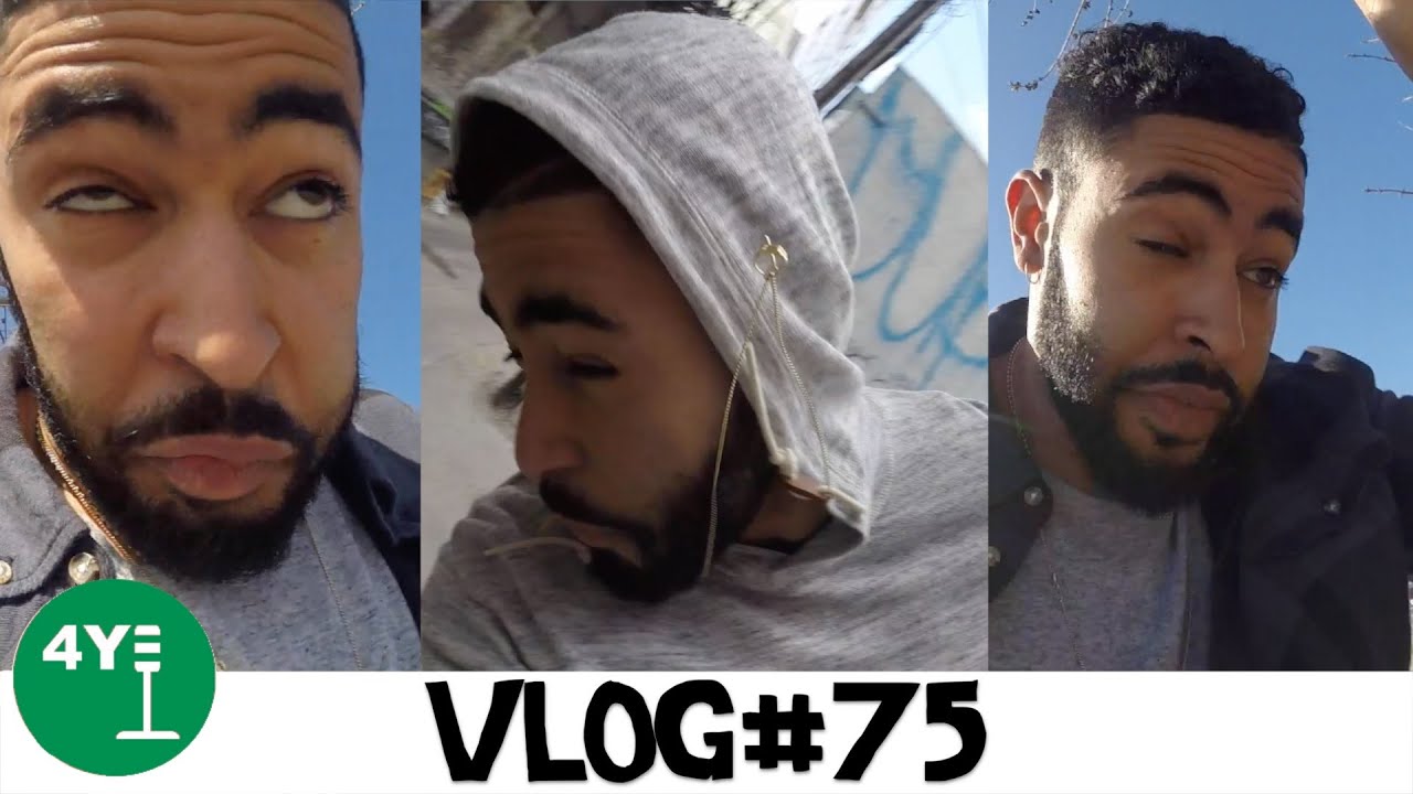 ATTACK OF THE KILLER TORONTO FLIES! [VLOG#75]