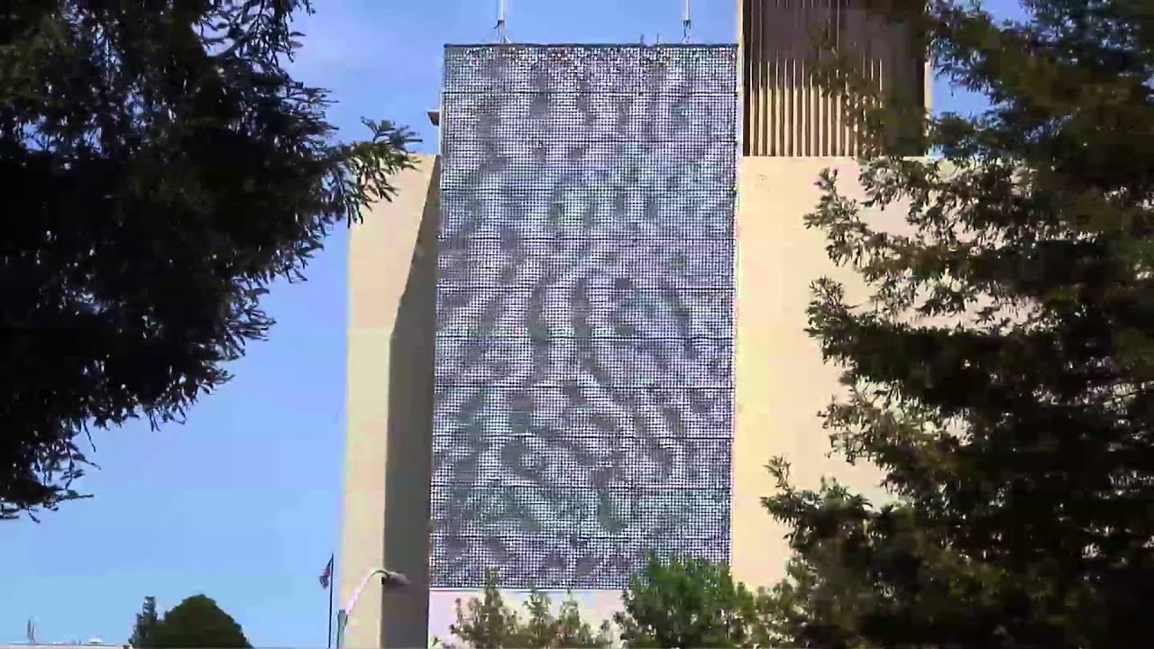 Digitized Field