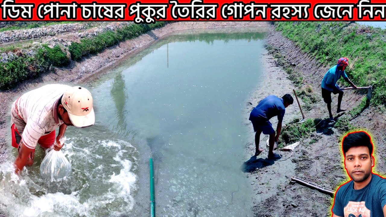 সহজ পদ্ধতিতে রেনু পোনা বা ডিম পোনা চাষের পুকুর প্রস্তুতি করুন fish spawn farming pond preparation