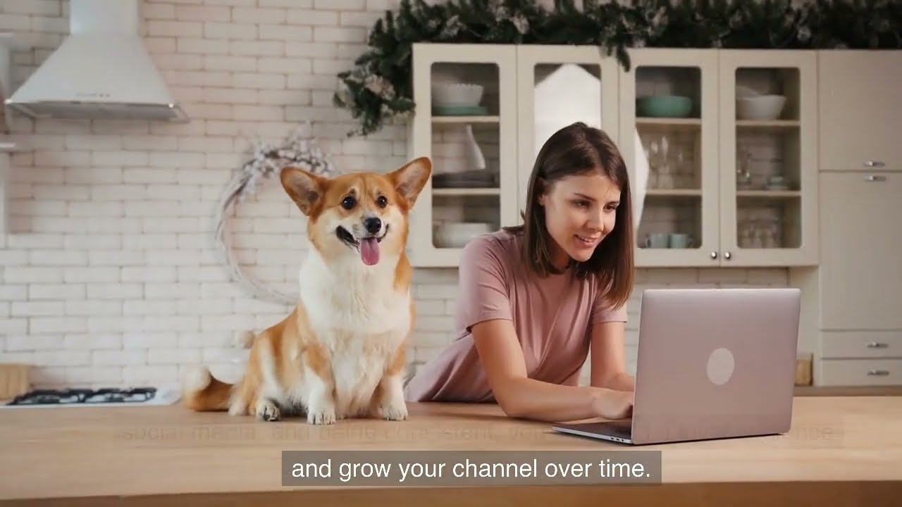 From Zero To 1000 - Youtube Optimization 2023