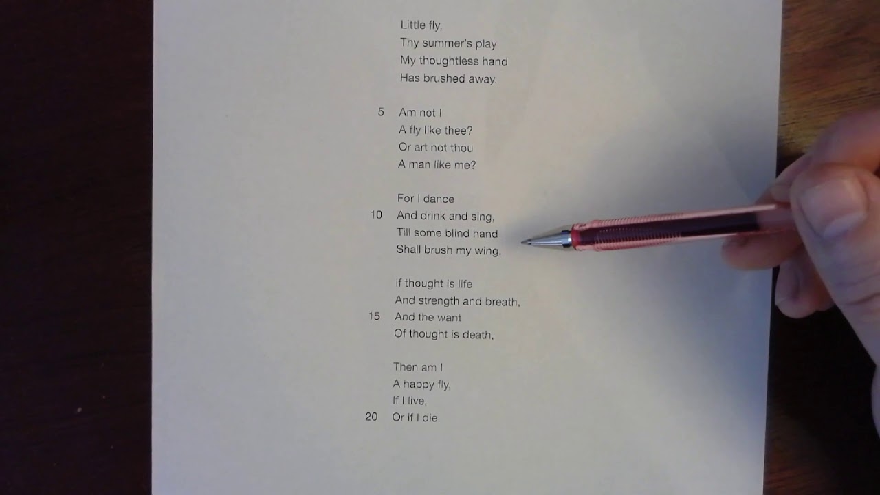 Year 12 English lit: The Fly by William Blake