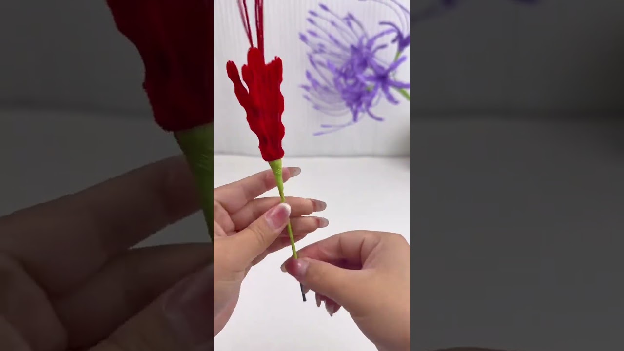 扭扭棒彼岸花教程來啦～ 彼岸花又稱漫珠沙華，超詳細的教程一學就會，喜歡的姐妹趕緊動手扭 一扭吧！
#扭扭棒的100種玩法 #扭扭棒 #手工diy #扭扭棒彼岸花 #學會快去試試吧🔥
