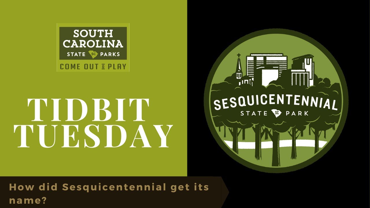 How did Sesquicentennial get its name?