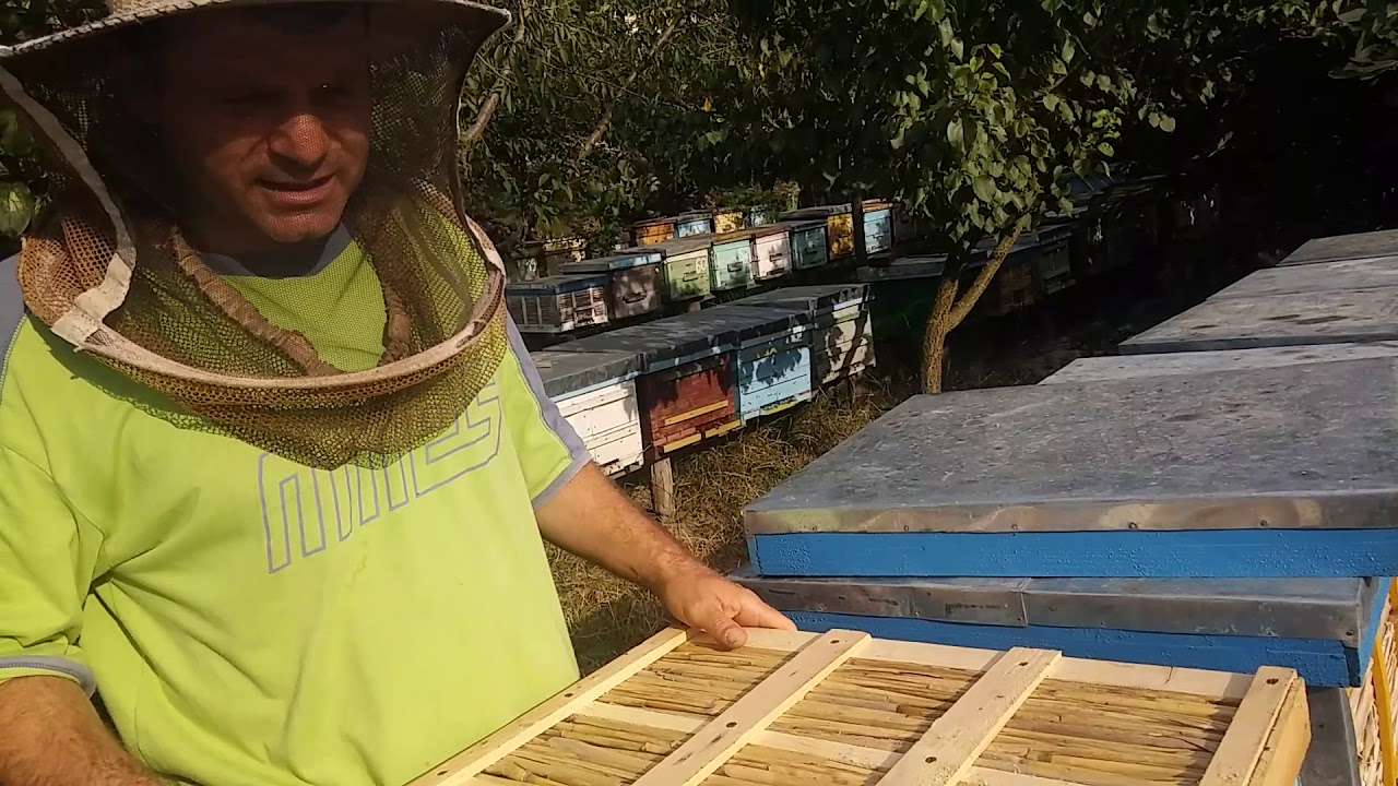 Despre unificari si familiile ajutatoare!