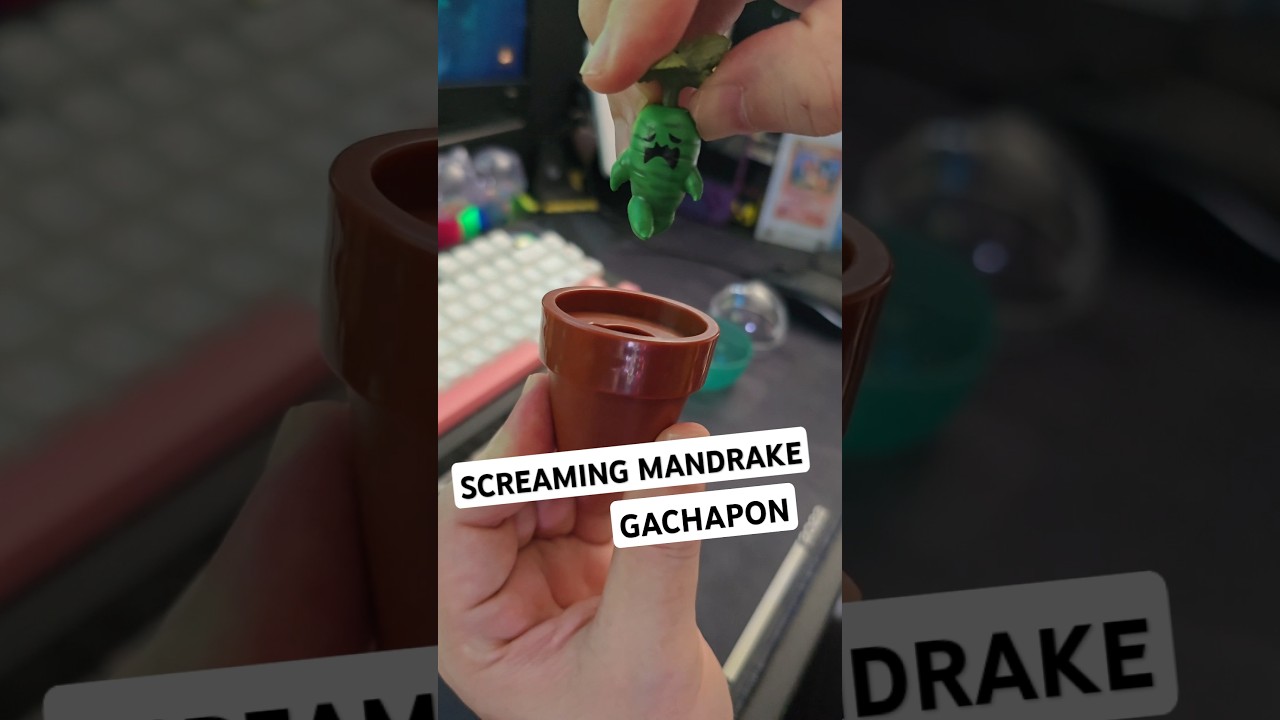 After a real life plant 🌱 we now have a mythical Mandrake 🪴 Gachapon! and yes it screams! #gachapon