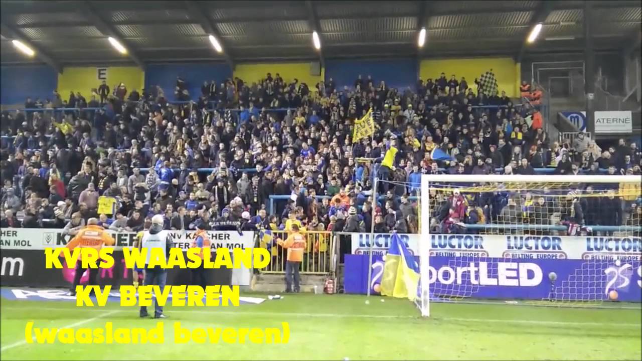 Belgium Ultras- Waasland beveren