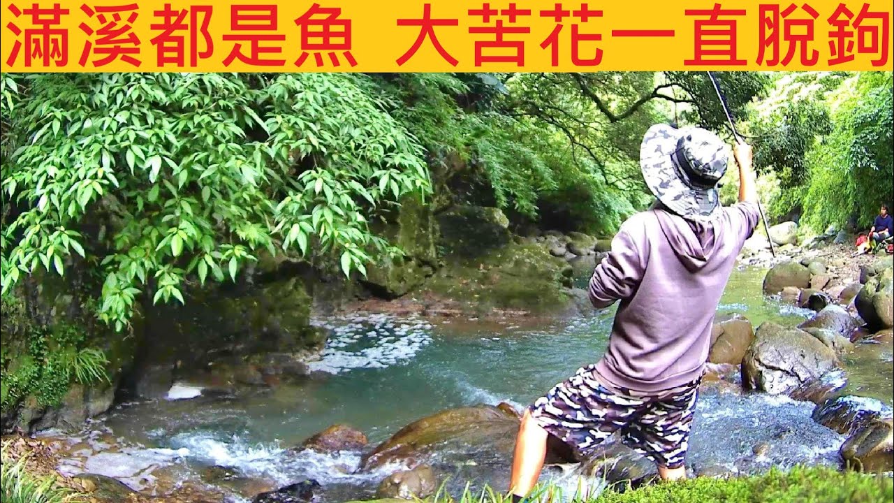 滿溪都是魚 大苦花一直脫鉤 @跟會員來整理溪邊環境 #溪釣 #苦花
