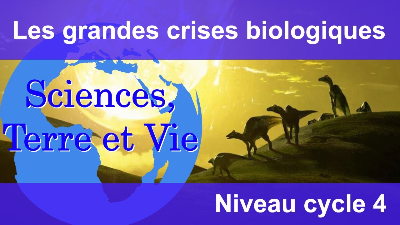 Les grandes crises biologiques