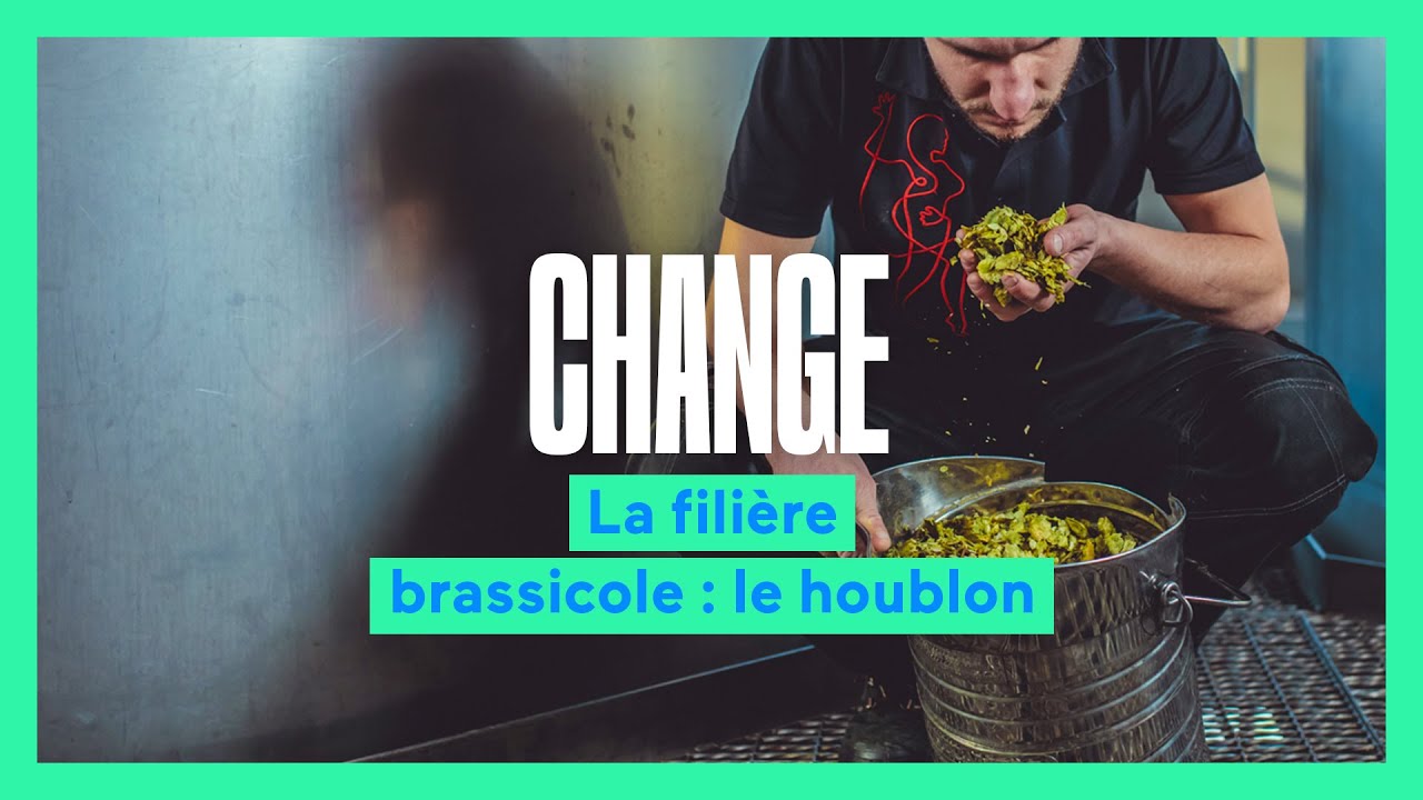 Change : du houblon bien de chez nous !