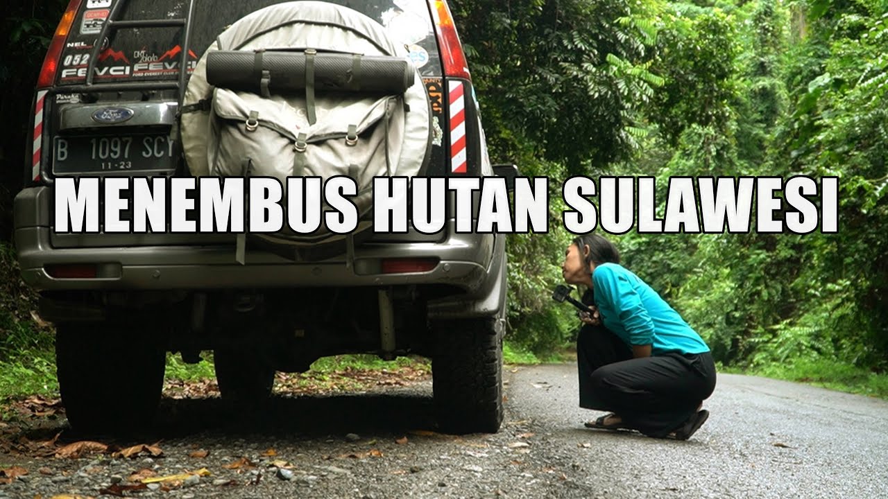 BADAI DAN ANGIN KENCANG SEPANJANG JALAN  II Sampai  Toli-Toli.