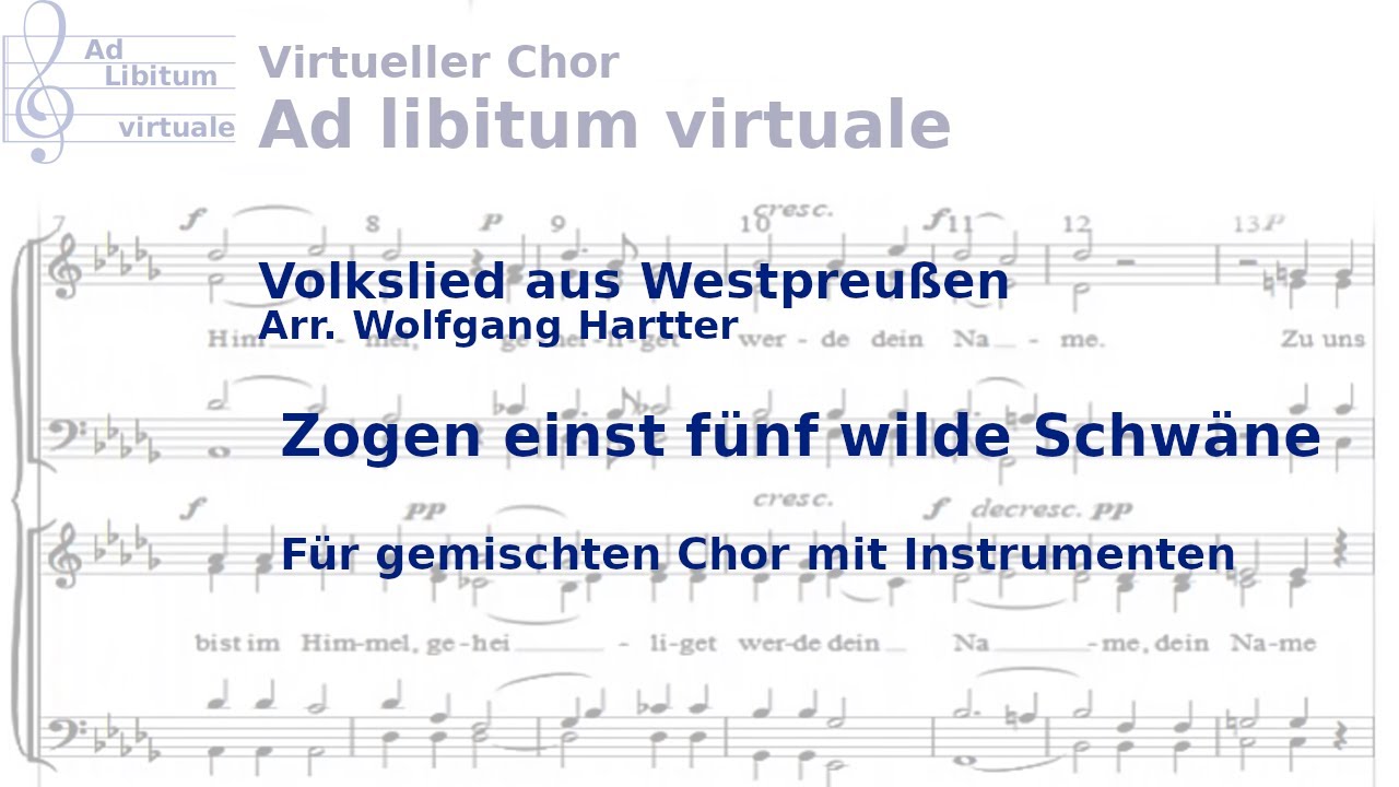Zogen einst fünf wilde Schwäne