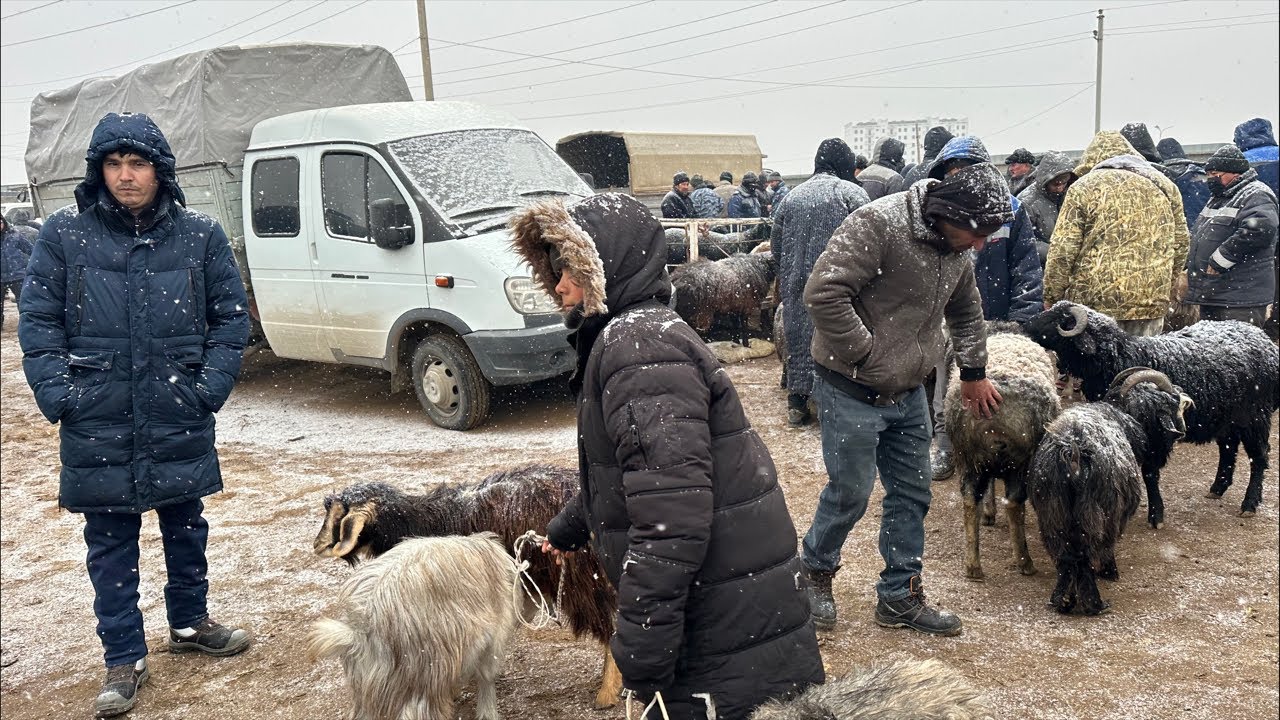 BOG'OT QO'Y BOZORI.21.0.2026.ALIXON efirda