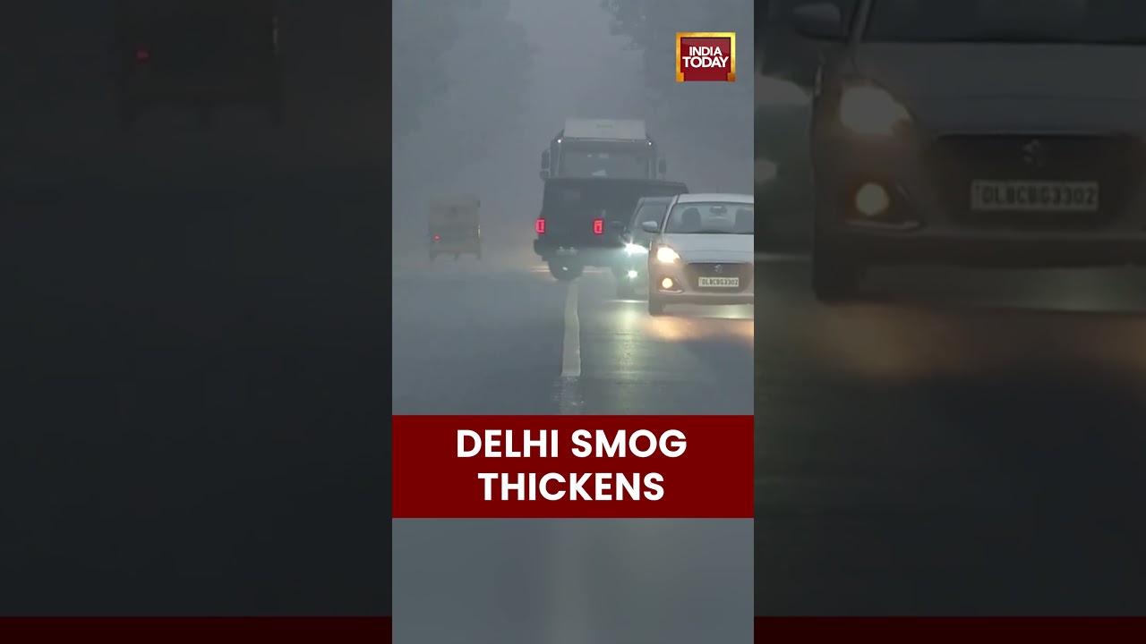Delhi Smog Worsens: AQI at 297 Near Nehru Park, Says CPCB