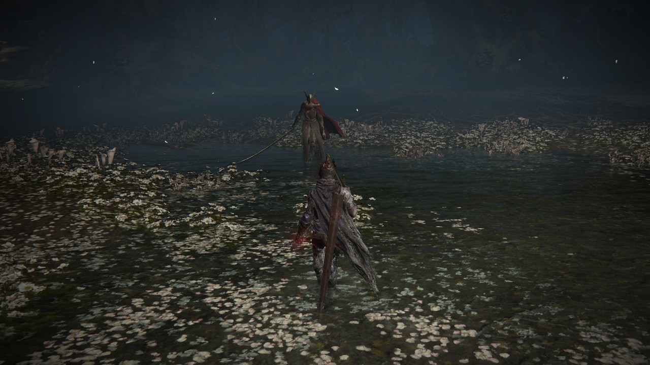 Knight Artorias build vs Malenia blade of miquella lvl max build.