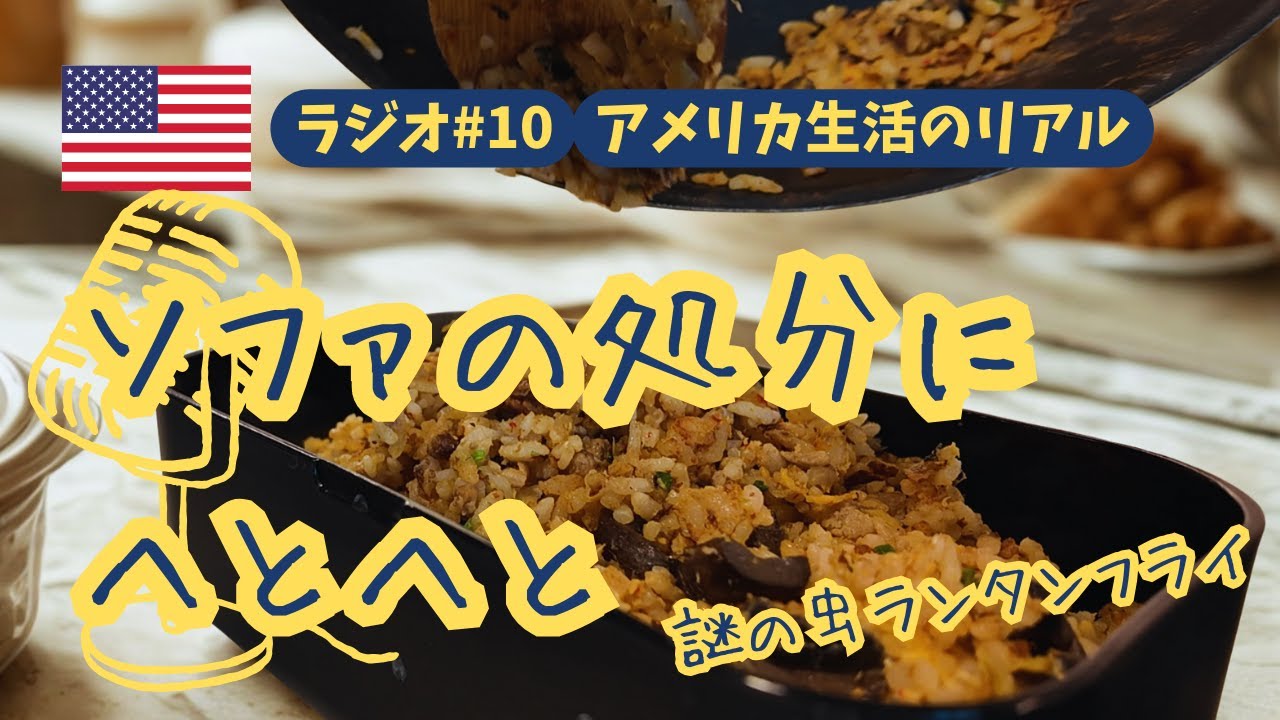 アメリカ生活、ソファも虫も思い通りにいかない日。ワシントンD.C.の暮らし【Tamago Lounge#10】